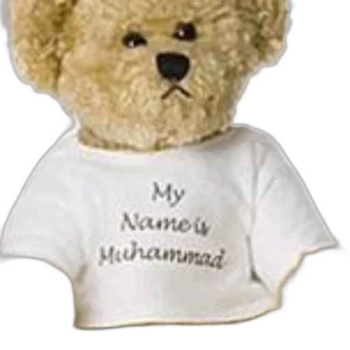 teddy, bear, wearing, white transparent PNG cut-out