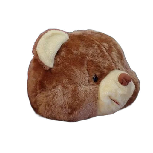 animal, hat, creature, face transparent PNG cut-out