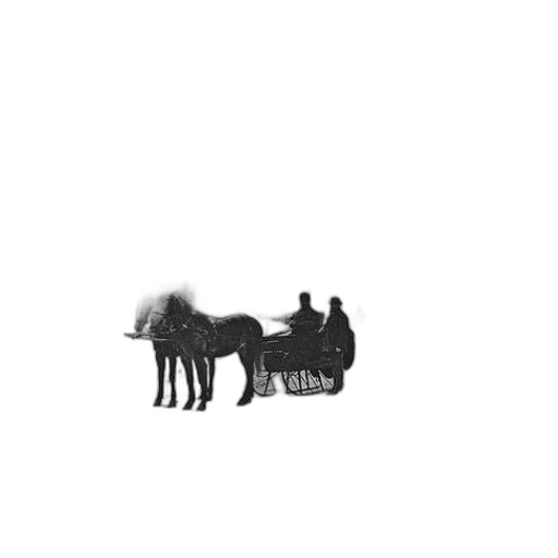 animal, car, furniture, staff transparent PNG cut-out