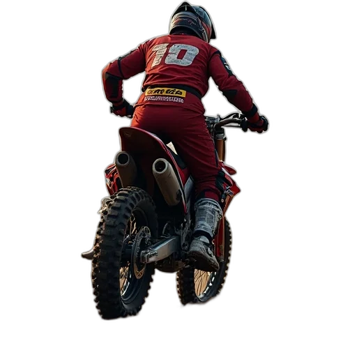 jacket, animal, 3d render, concept art transparent PNG cut-out