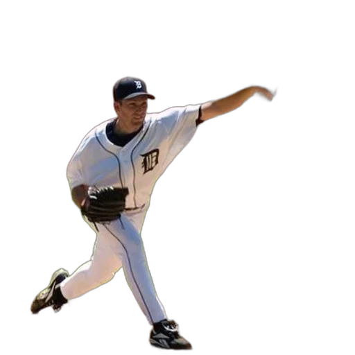 animal, detroit, tigers, pitcher transparent PNG cut-out