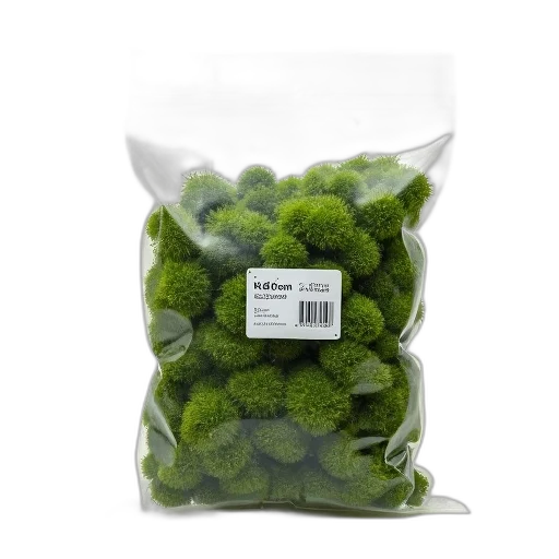 food, green, bag, moss transparent PNG cut-out