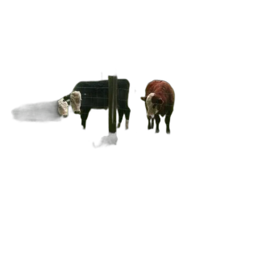 animal, furniture, food, staff transparent PNG cut-out