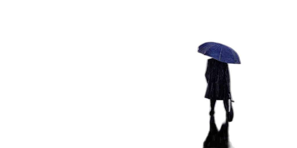 umbrella, hat, jacket, dress transparent PNG cut-out