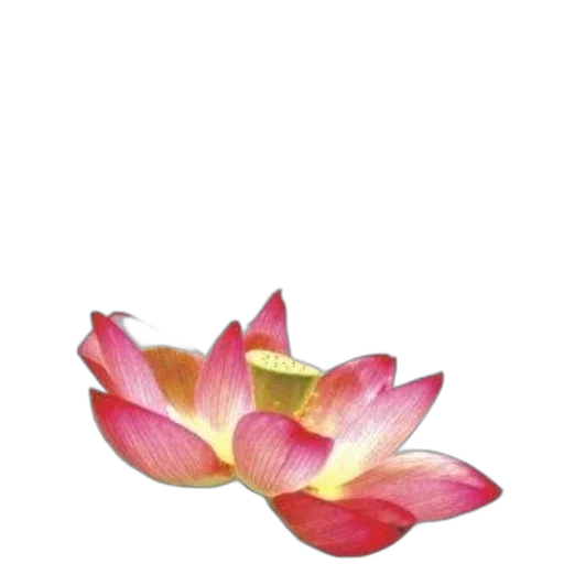 flower, jewelry, crown, staff transparent PNG cut-out