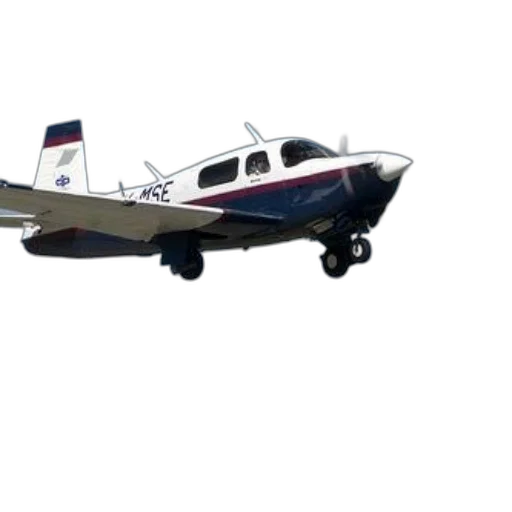 animal, 3d render, small, single-engine transparent PNG cut-out