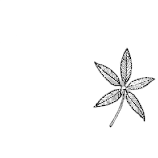 flower, crown, weapon, umbrella transparent PNG cut-out
