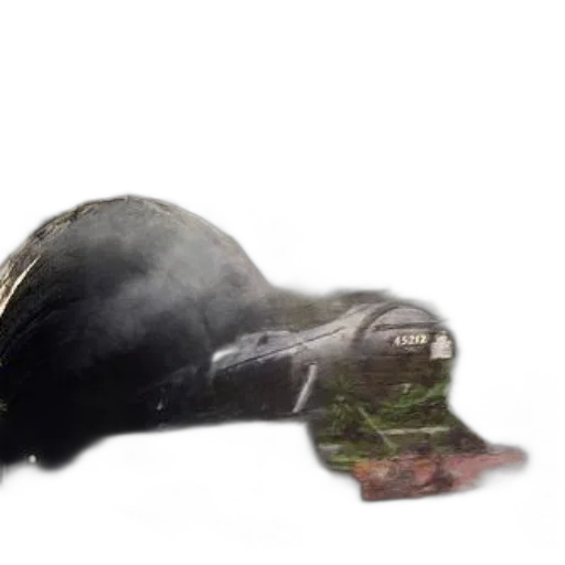 hat, shoes, animal, weapon transparent PNG cut-out