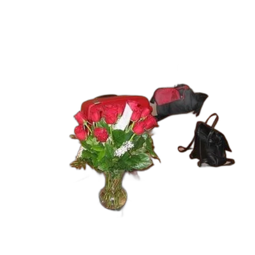 umbrella, flower, shoes, furniture transparent PNG cut-out