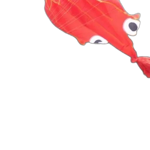 animal, creature, umbrella, weapon transparent PNG cut-out