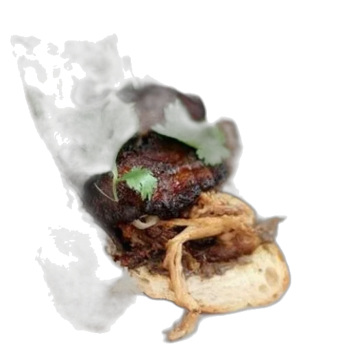 food, dragon, hair, animal transparent PNG cut-out