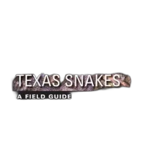 texas, snakes, field, guide transparent PNG cut-out
