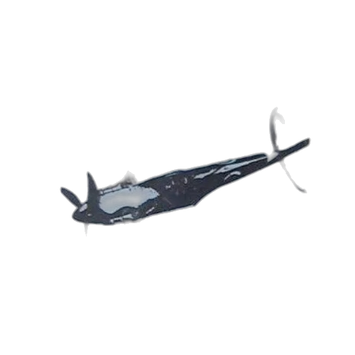 weapon, staff, sword, umbrella transparent PNG cut-out