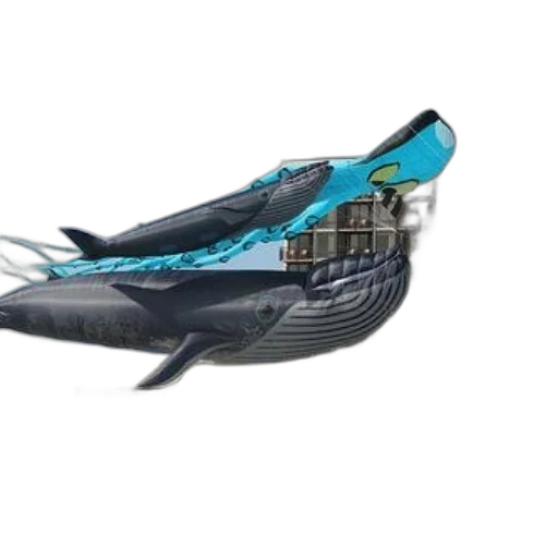 shoes, jewelry, hat, weapon transparent PNG cut-out