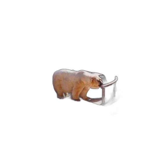 animal, jewelry, furniture, creature transparent PNG cut-out