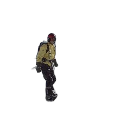 jacket, staff, creature, hat transparent PNG cut-out