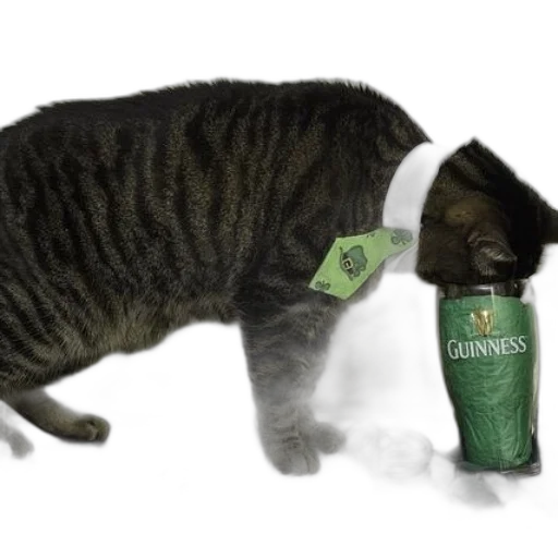 bottle, green, cat, wearing transparent PNG cut-out