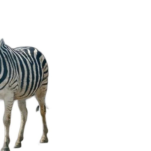 animal, creature, weapon, furniture transparent PNG cut-out