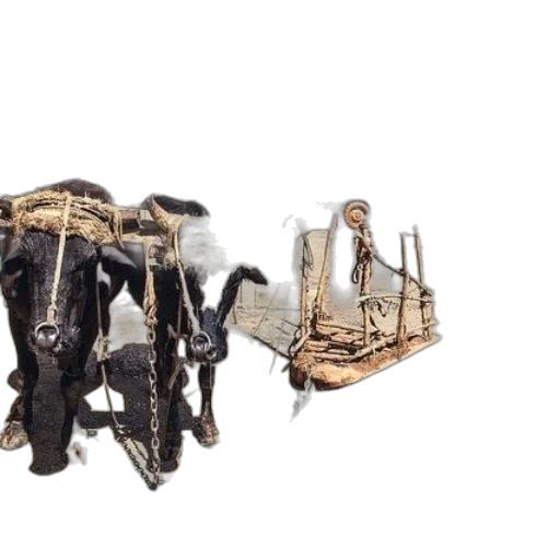 shoes, crown, weapon, furniture transparent PNG cut-out