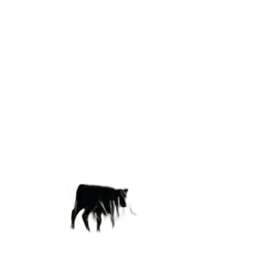 animal, hair, creature, furniture transparent PNG cut-out