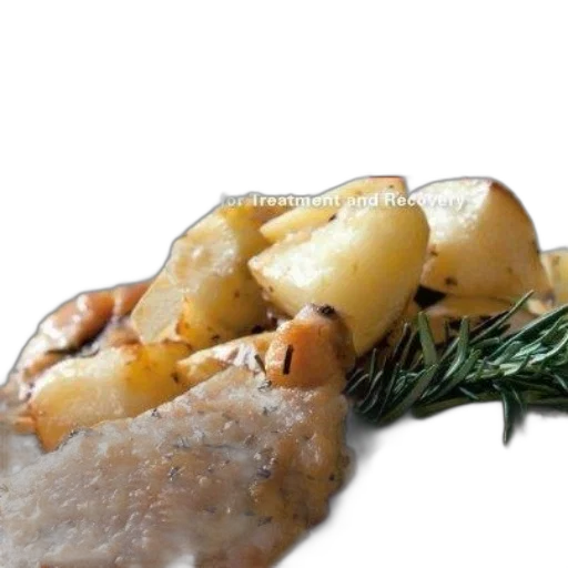 food, animal, creature, hair transparent PNG cut-out