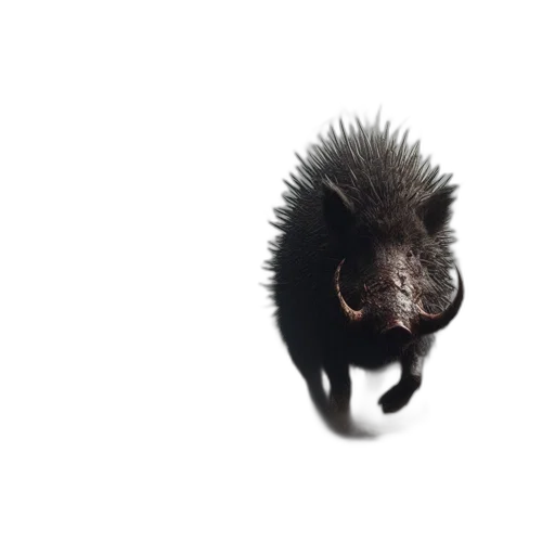 hair, animal, creature, dragon transparent PNG cut-out