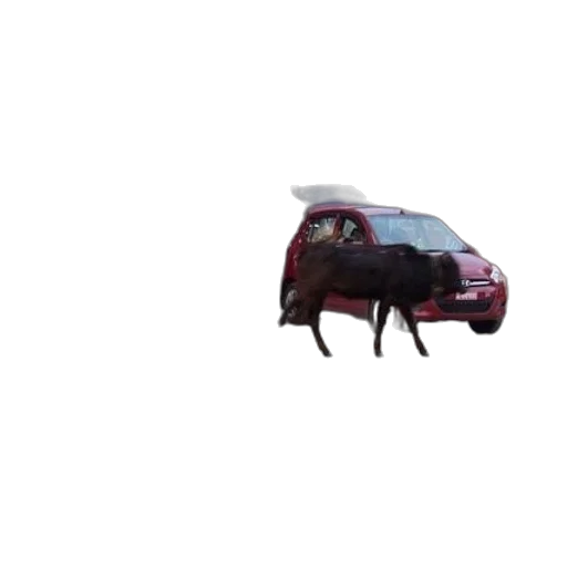 car, animal, robot, creature transparent PNG cut-out
