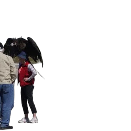 umbrella, jacket, animal, dragon transparent PNG cut-out