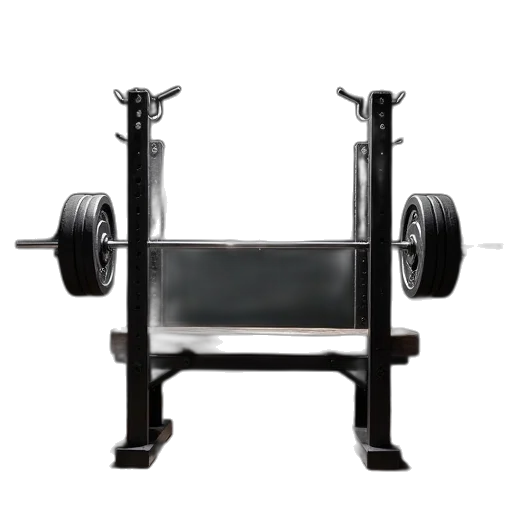 furniture, weapon, barbell, rack transparent PNG cut-out