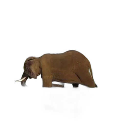 animal, staff, creature, weapon transparent PNG cut-out