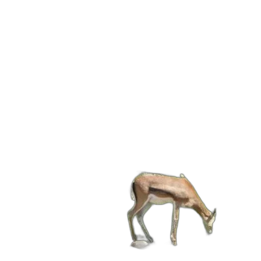 animal, creature, dragon, shoes transparent PNG cut-out