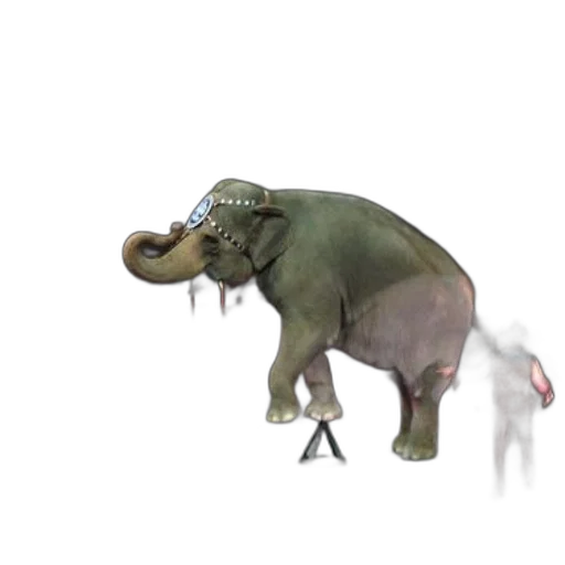 creature, animal, staff, hat transparent PNG cut-out