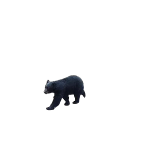 animal, creature, car, weapon transparent PNG cut-out