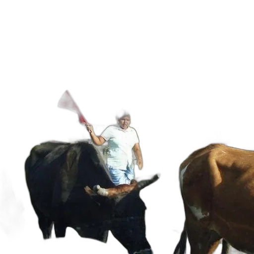 animal, weapon, staff, sword transparent PNG cut-out