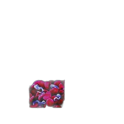 jewelry, flower, weapon, food transparent PNG cut-out