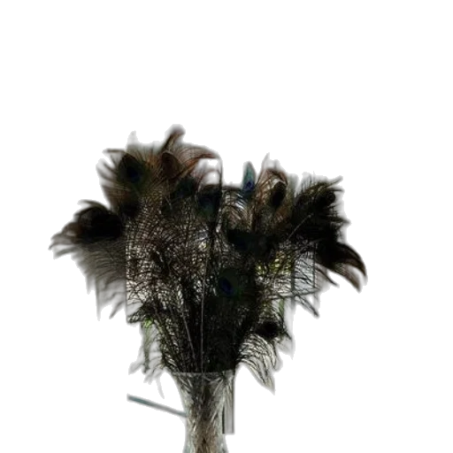flower, crown, hair, mask transparent PNG cut-out
