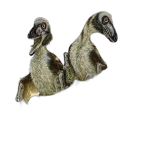 animal, dragon, creature, jewelry transparent PNG cut-out
