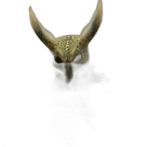 jewelry, dragon, creature, mask transparent PNG cut-out