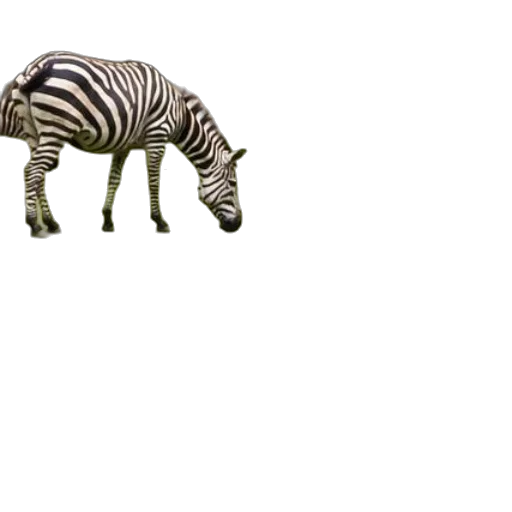 animal, creature, furniture, robot transparent PNG cut-out