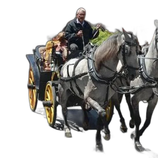 car, staff, animal, photorealistic transparent PNG cut-out