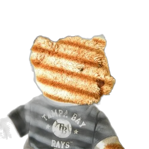 food, hat, animal, creature transparent PNG cut-out