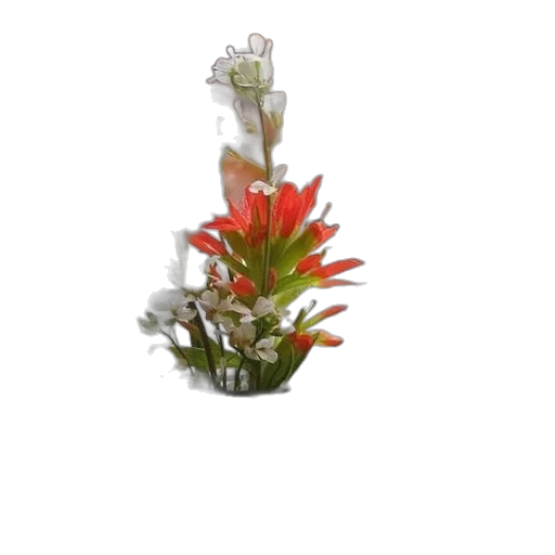 crown, flower, jewelry, staff transparent PNG cut-out