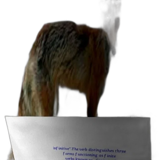 animal, creature, staff, mask transparent PNG cut-out
