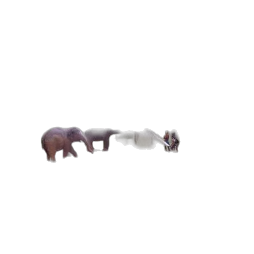 animal, creature, furniture, weapon transparent PNG cut-out
