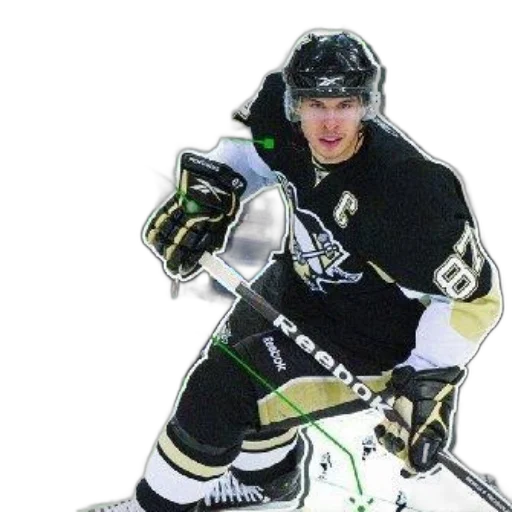 animal, hockey, player, action transparent PNG cut-out