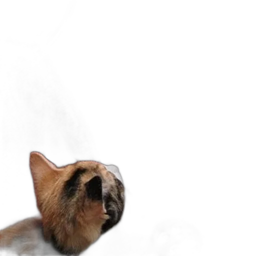 animal, creature, face, staff transparent PNG cut-out