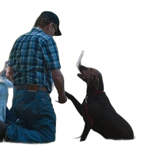animal, staff, concept art, photorealistic transparent PNG cut-out