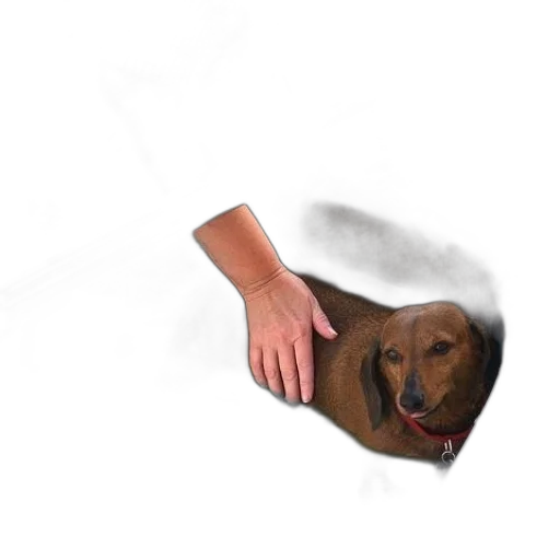 animal, creature, staff, weapon transparent PNG cut-out