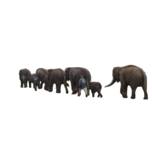 animal, staff, creature, 3d render transparent PNG cut-out