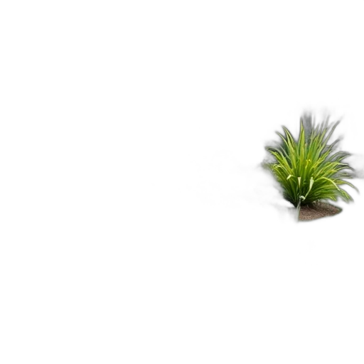 flower, tree, hair, creature transparent PNG cut-out
